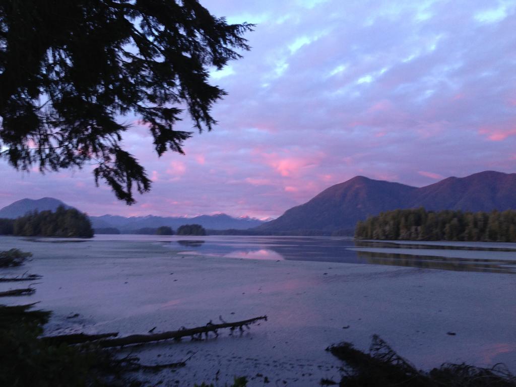 Black Bear Guesthouse Tofino Bagian luar foto