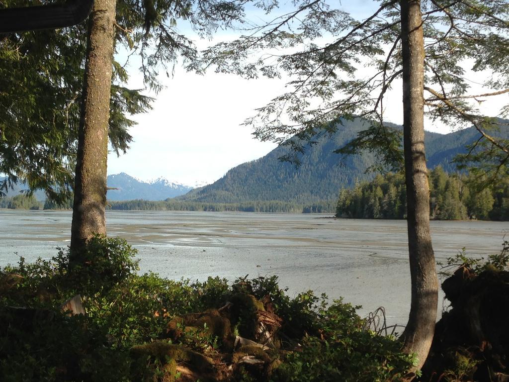 Black Bear Guesthouse Tofino Bagian luar foto