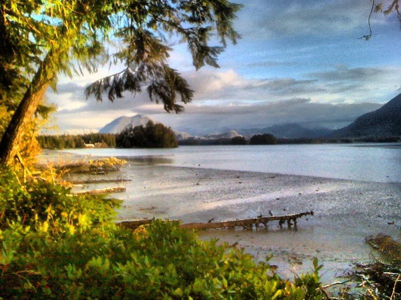 Black Bear Guesthouse Tofino Bagian luar foto